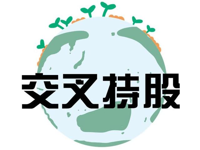 交叉持股安排设计(交叉持股怎么计算持股比例)周口市